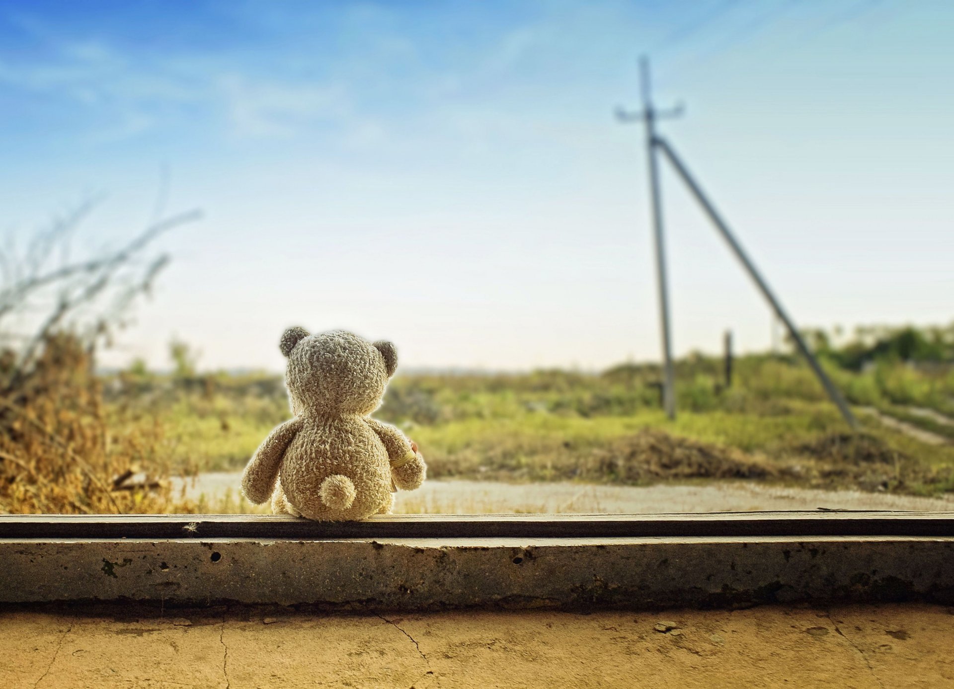 mood toys teddy bear bear nature plants sky background wallpaper widescreen full screen hd wallpapers fullscreen