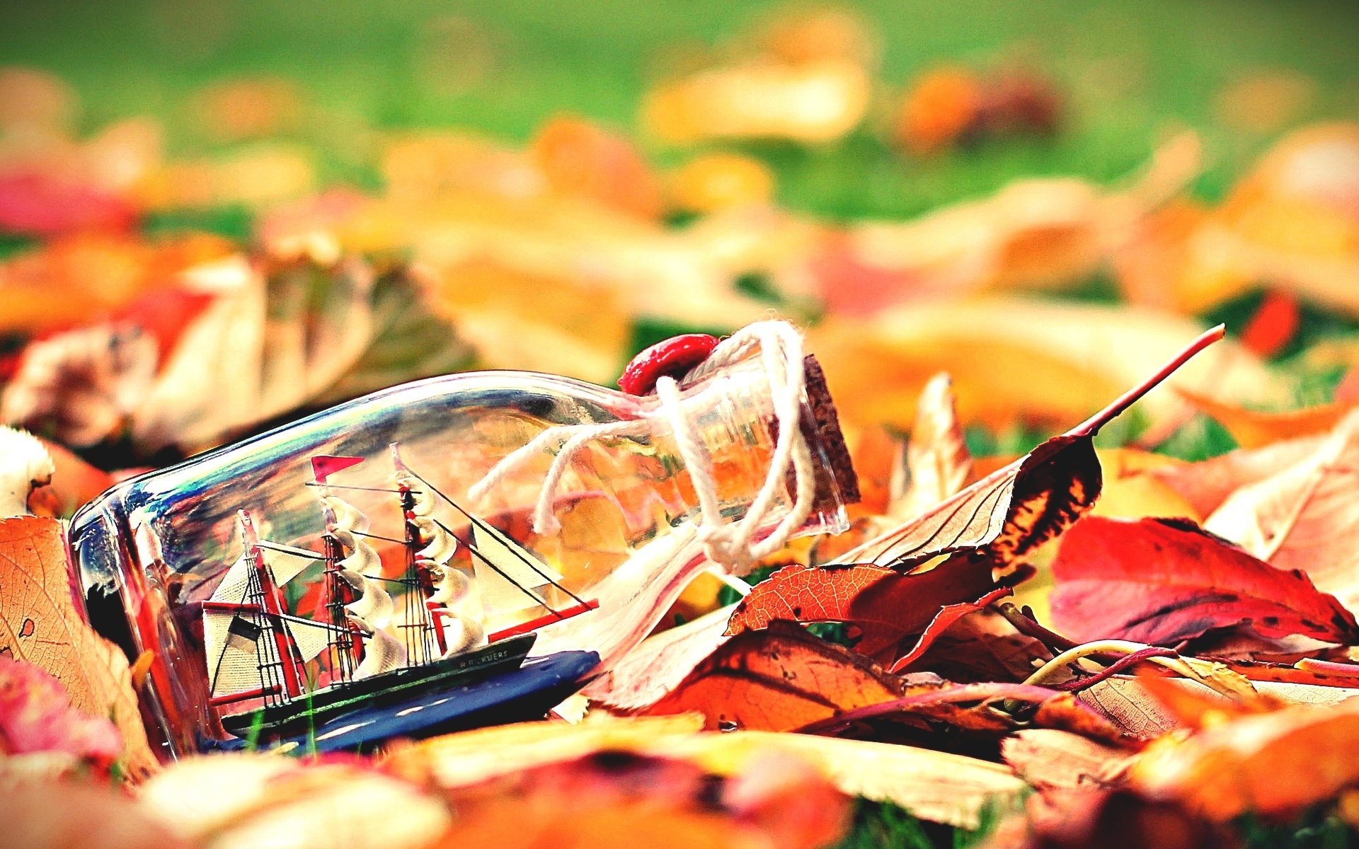 humeurs feuilles folioles feuilles bouteille bateau navire navire voiles automne fond d écran écran large plein écran écran large écran large