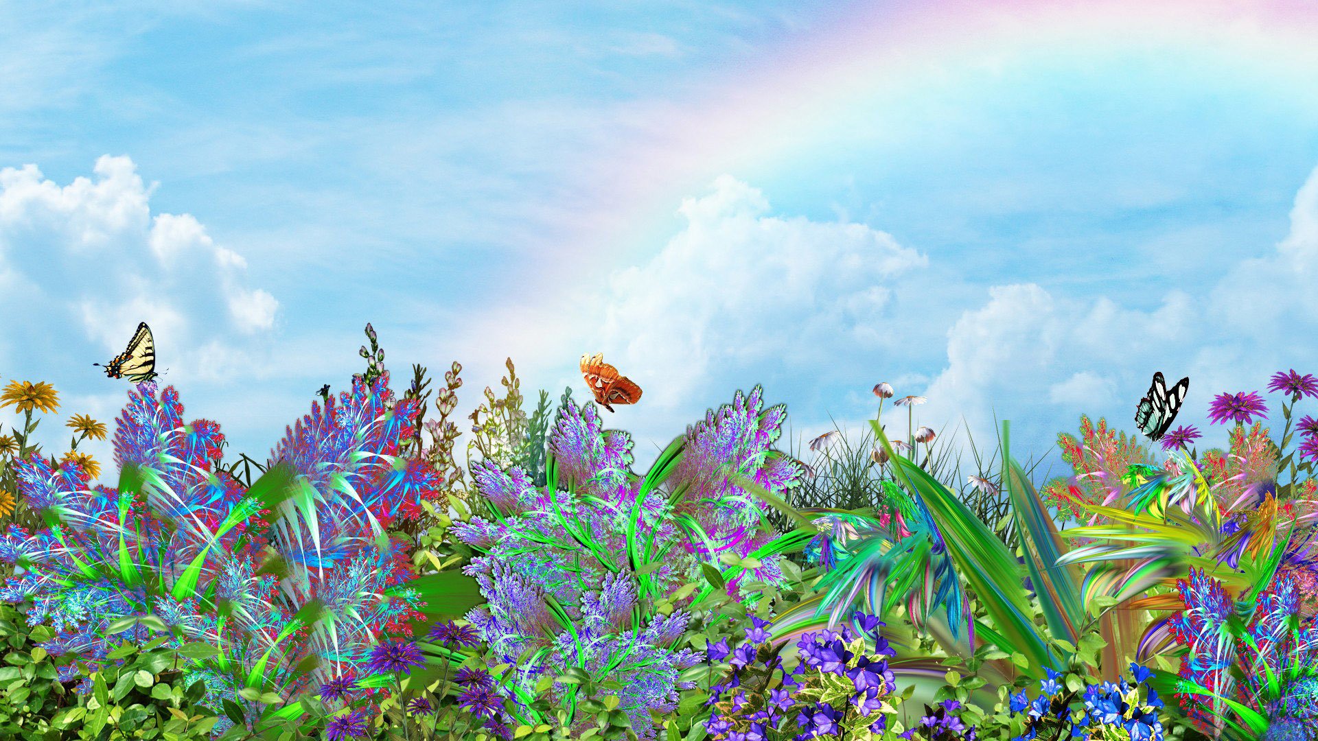 art humeur fleurs papillons ciel arc-en-ciel nature paysage