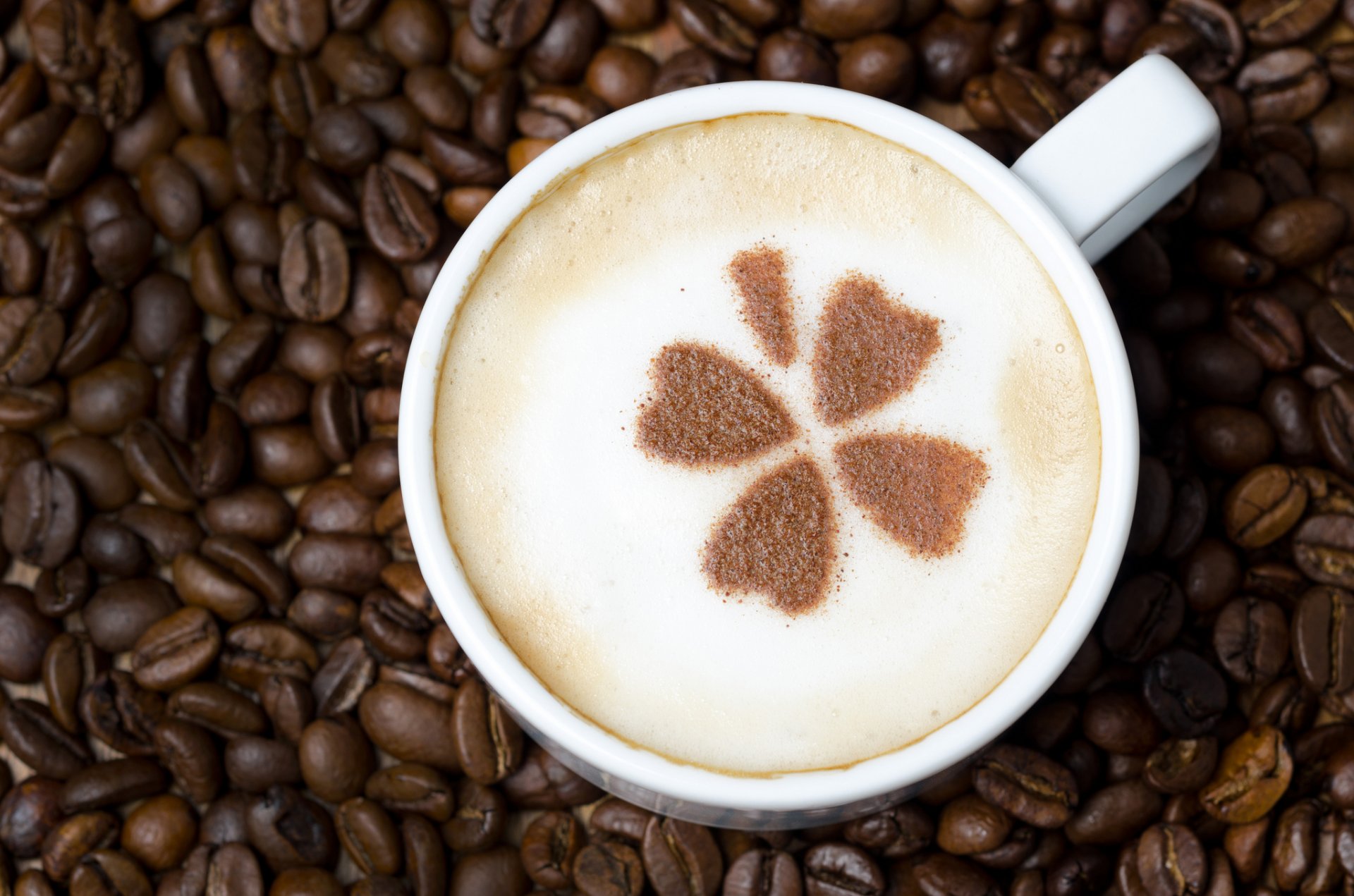 café espuma cappuccino bebida patrón hojas taza blanco granos