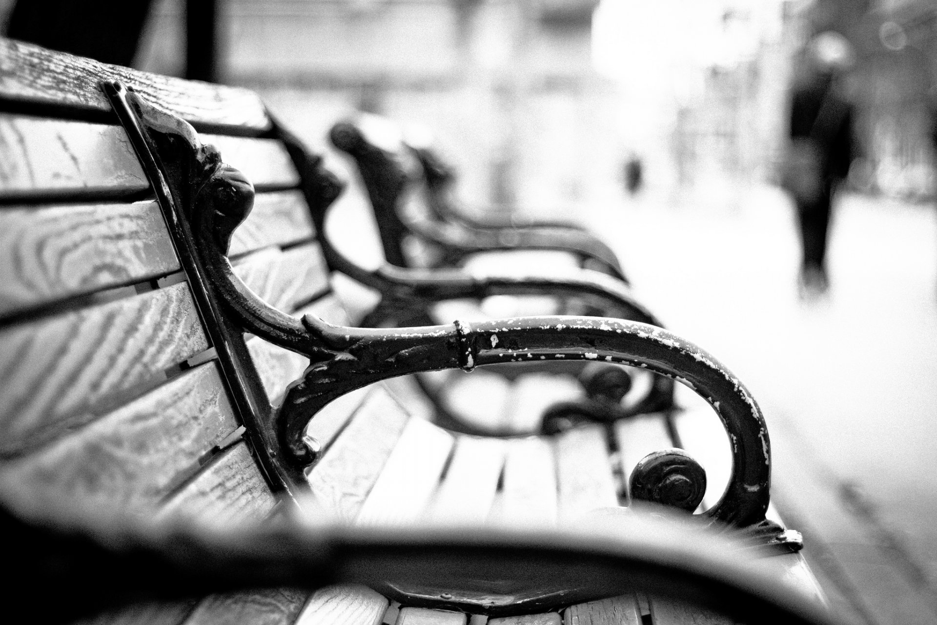 mood bench bench bench macro background black and white flowers flower flower pink petals wallpaper widescreen fullscreen widescreen widescreen