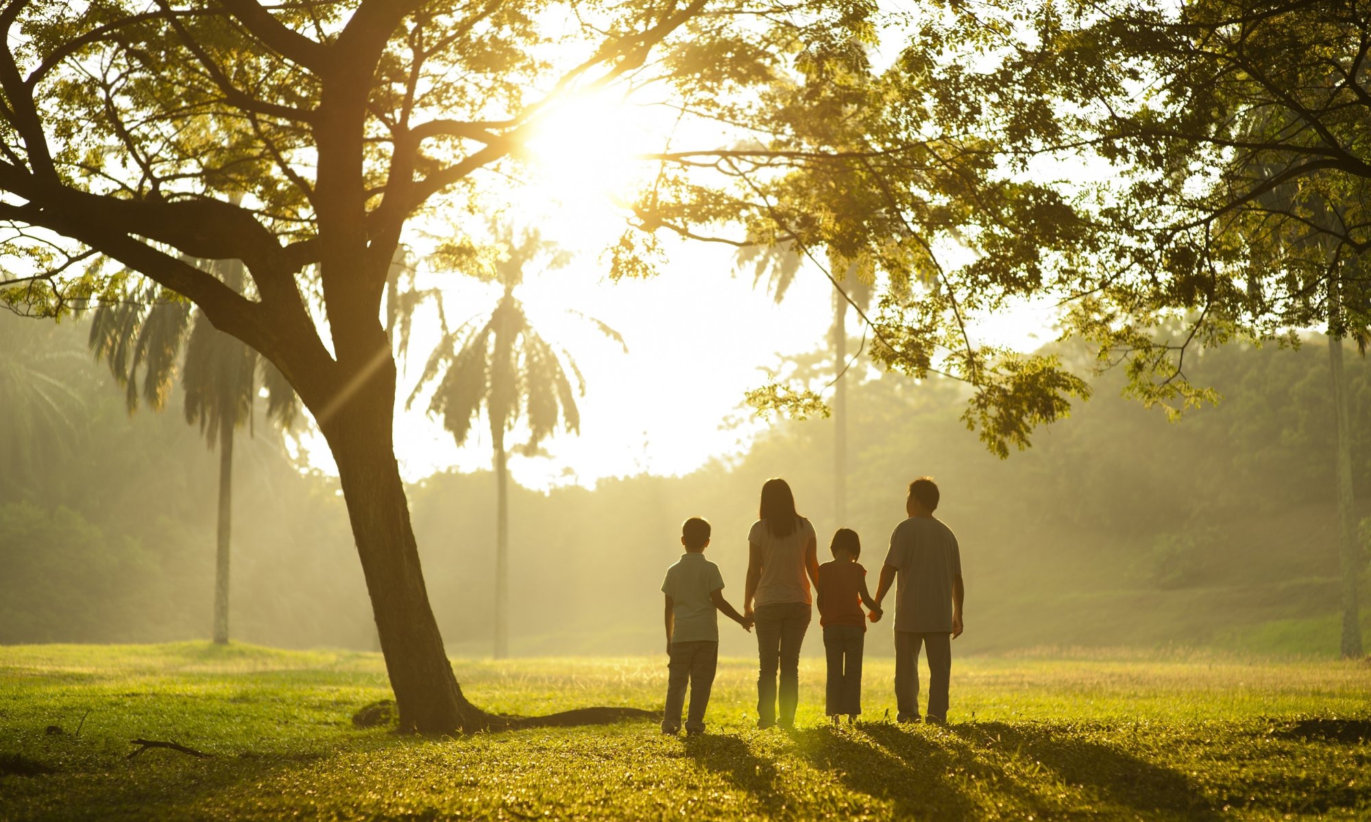 mood famiglia mamma papà bambini bambini passeggiata erba verde albero alberi fogliame foglie sfondo carta da parati widescreen schermo intero widescreen widescreen