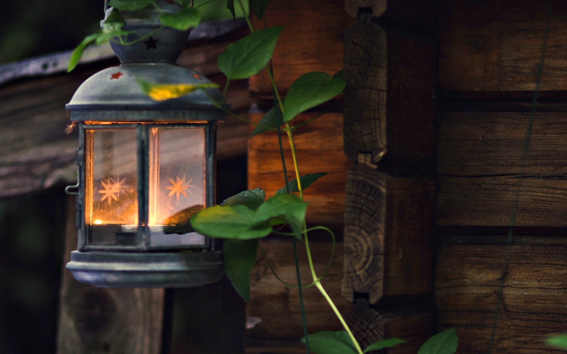 mood lantern flashlight fire light leaves leaves background wallpaper widescreen fullscreen widescreen widescreen