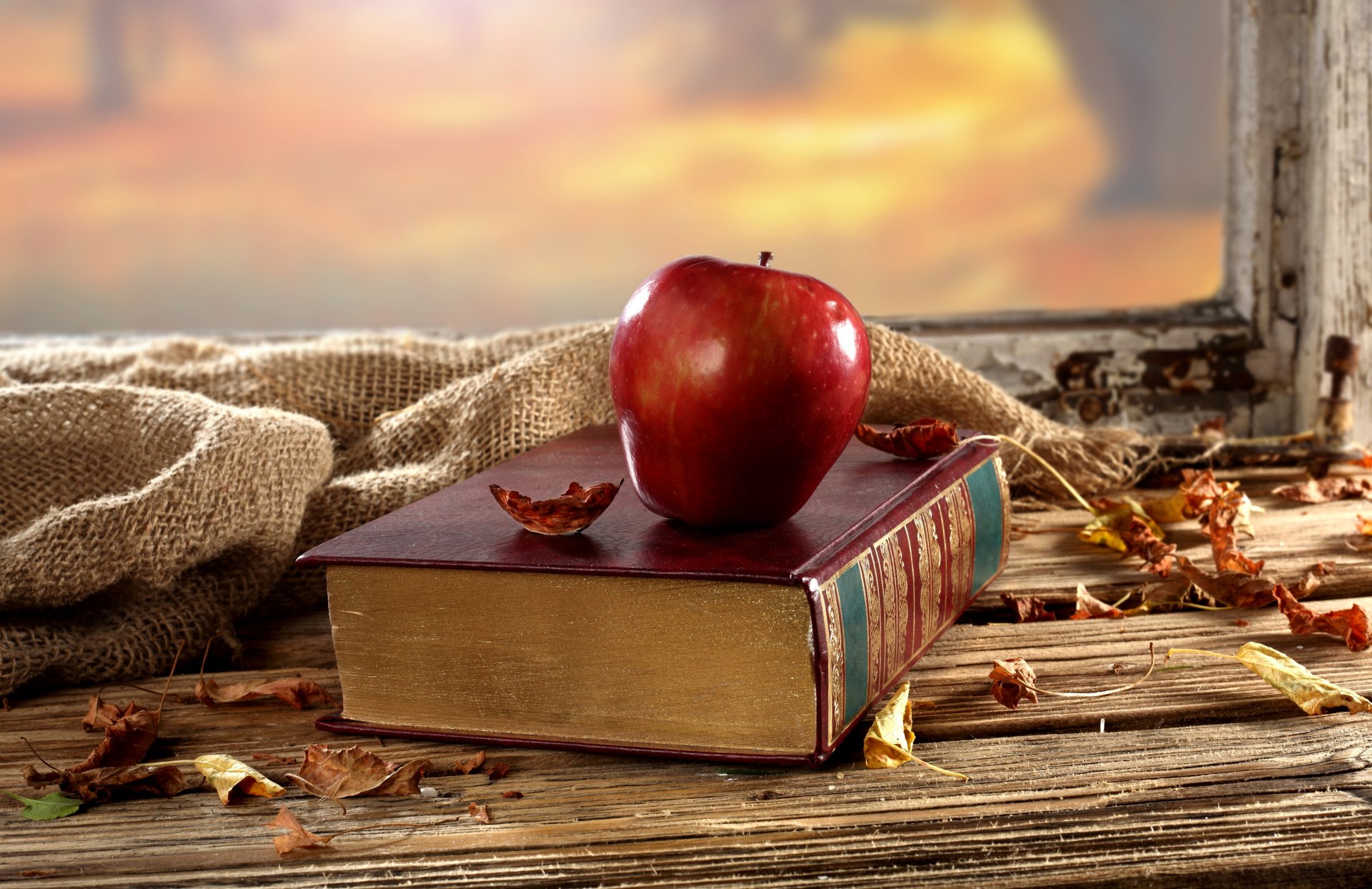 buch apfel tisch fenster blätter trocken hintergrund herbst