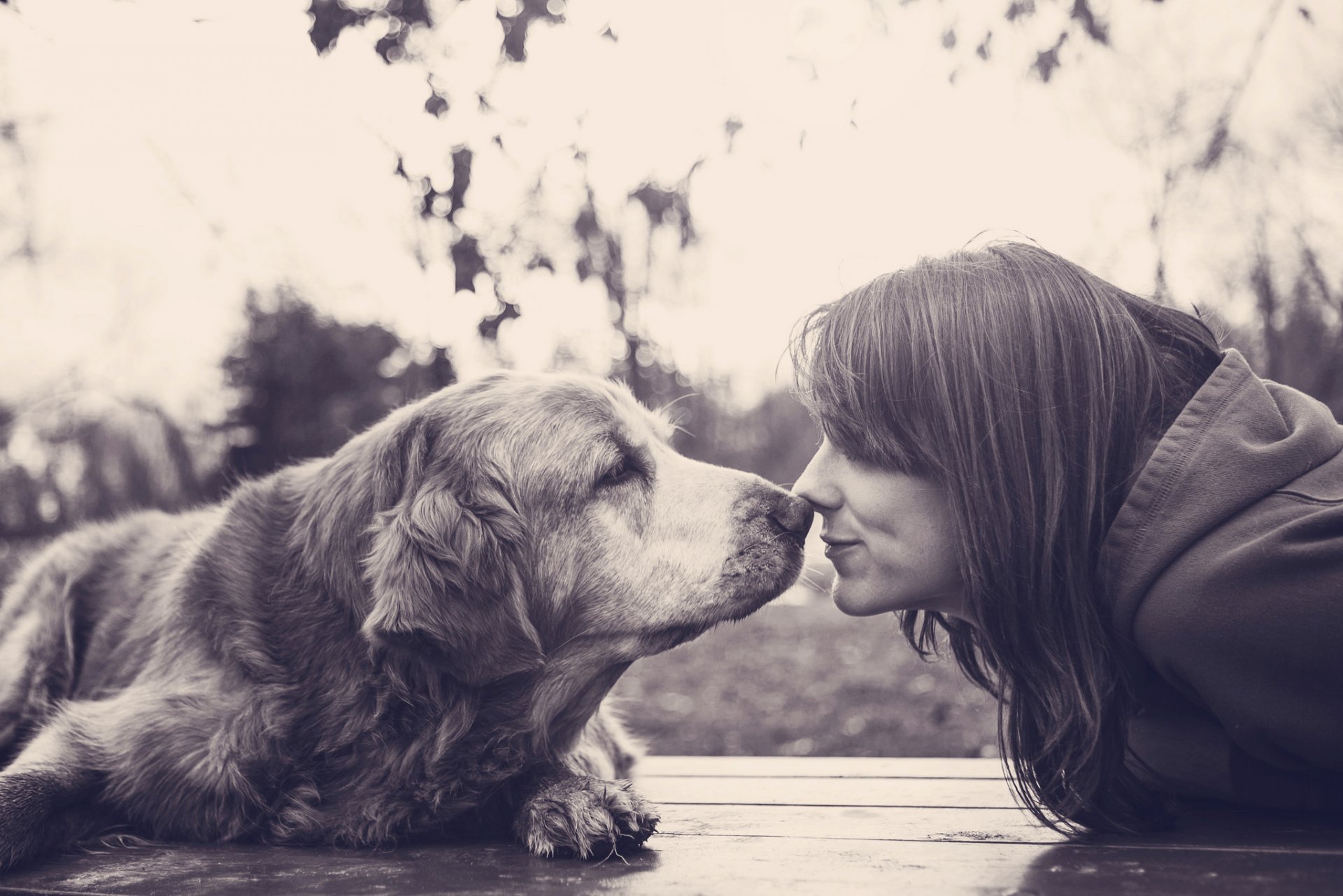 fille chien sourire amis