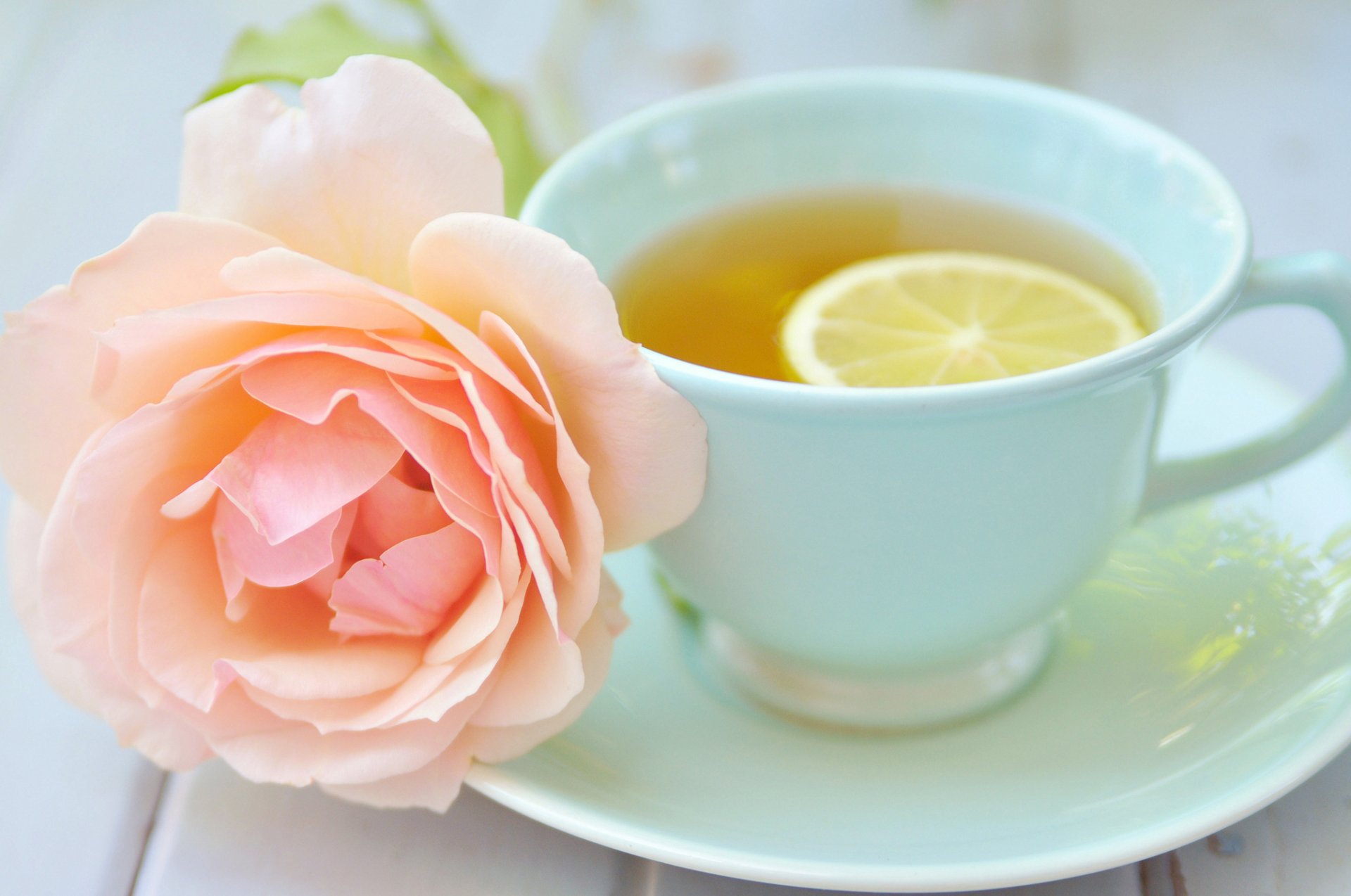 cup tea lemon saucer flower rose pink