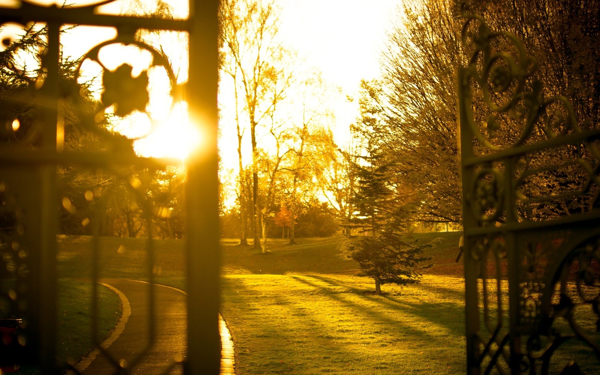 stimmungen natur tor zaun zaun bäume blätter blätter grün gras fußweg sonne strahlen tag unschärfe hintergrund tapete widescreen vollbild widescreen