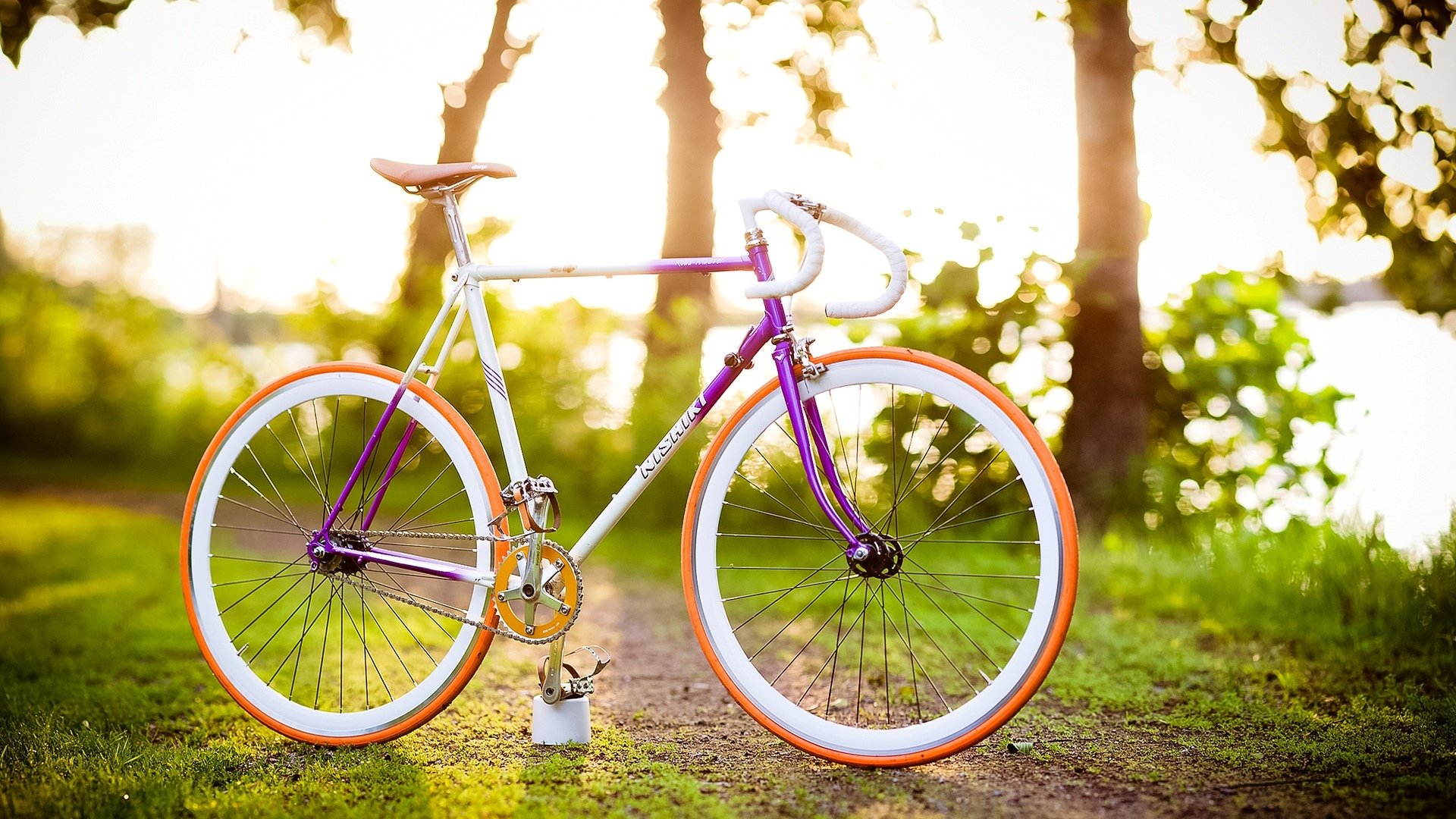 mood bicicletta erba verde vegetazione alberi foglie albero bokeh sfocatura sfondo carta da parati widescreen schermo intero widescreen