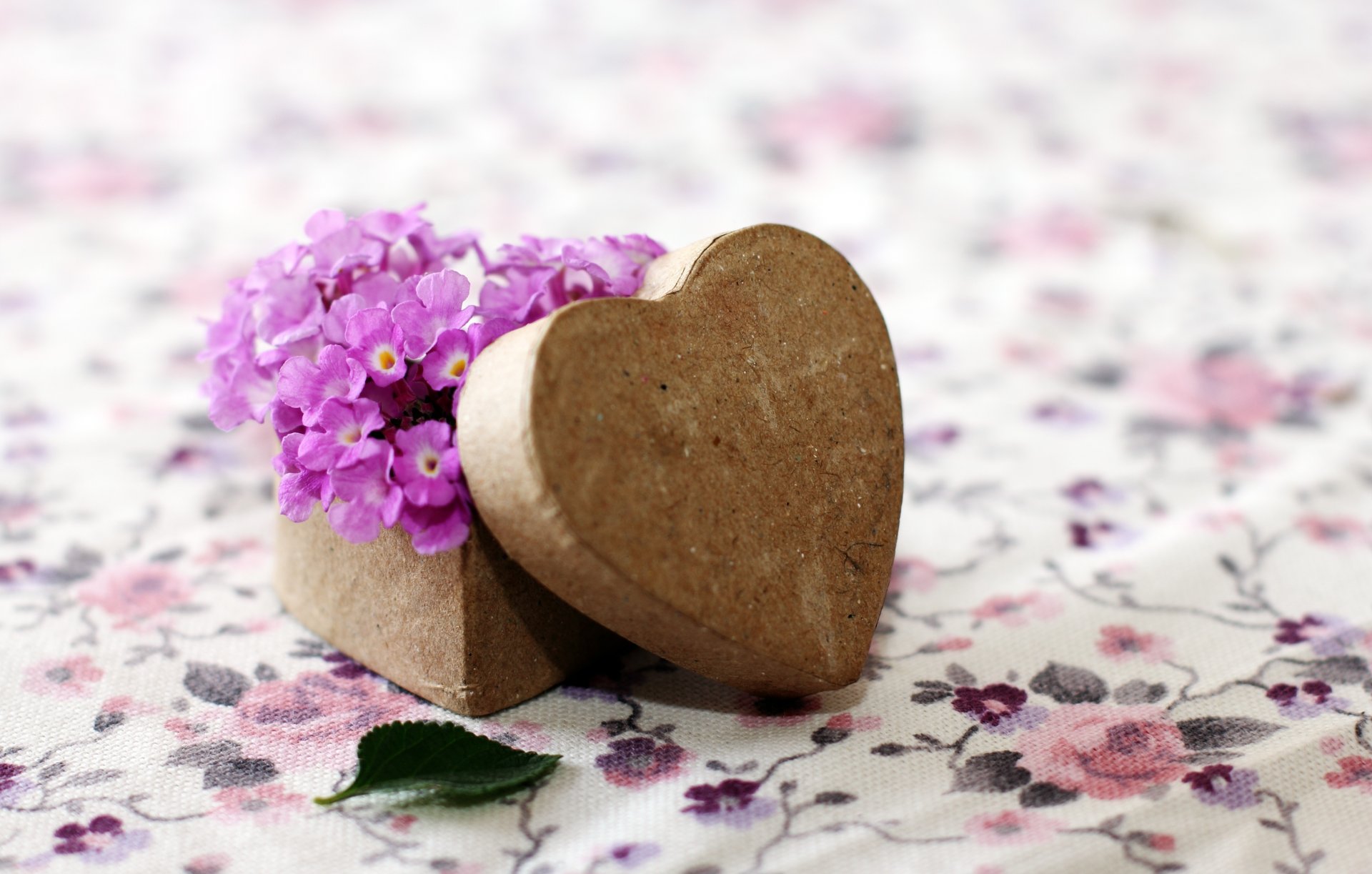 moods flowers flowers purple box shape heart heart wooden leaf leaflet background widescreen fullscreen wallpaper