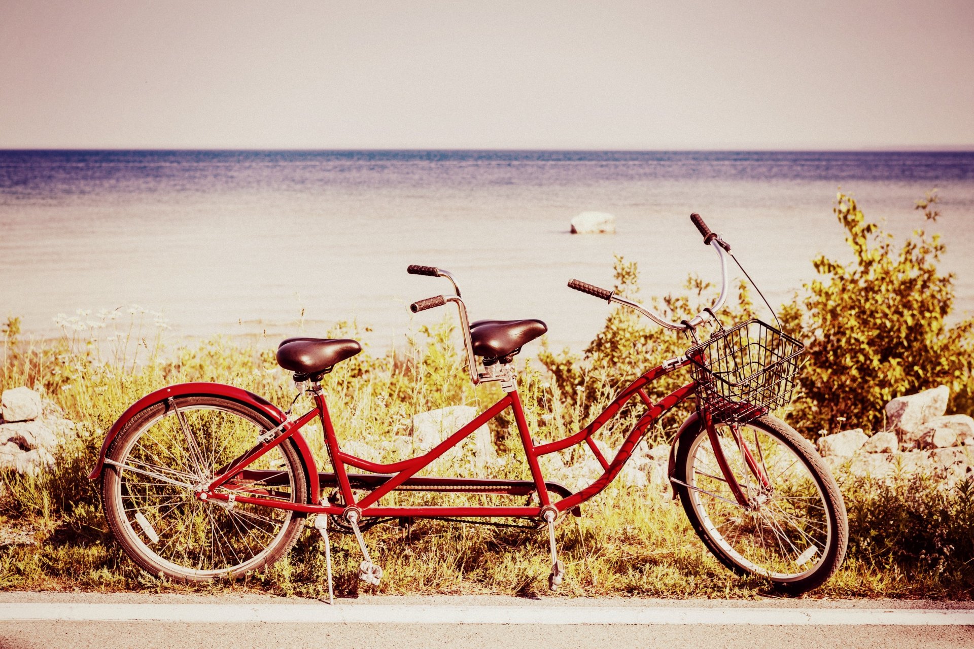 mood bicicletta ruota ruote carrello due posti natura verde piante mare acqua fiume orizzonte cielo sfondo carta da parati widescreen schermo intero widescreen widescreen