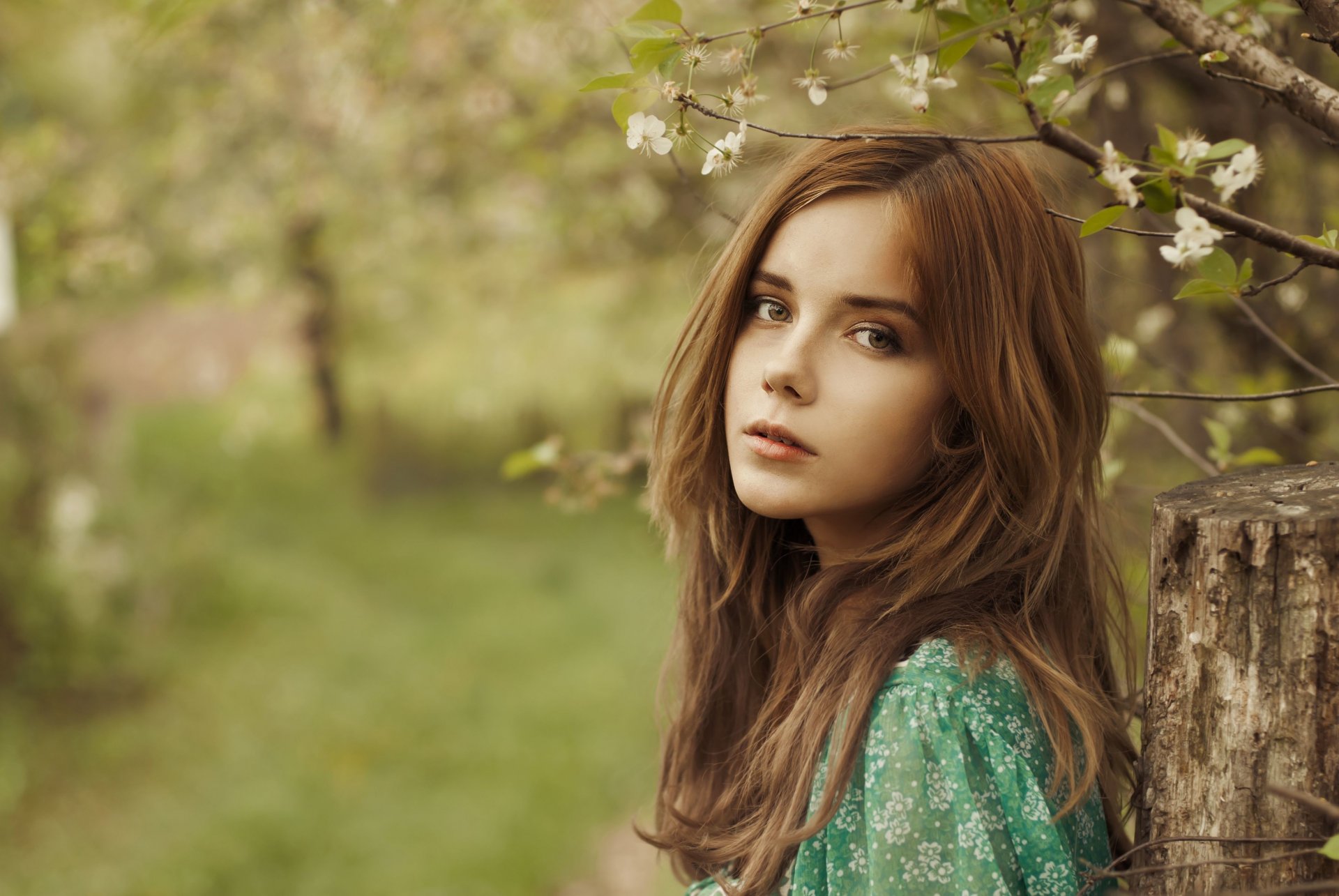 mood girl girl woman face look brown-haired facial expression calm nature flowers flowers blur background widescreen fullscreen widescreen wallpaper