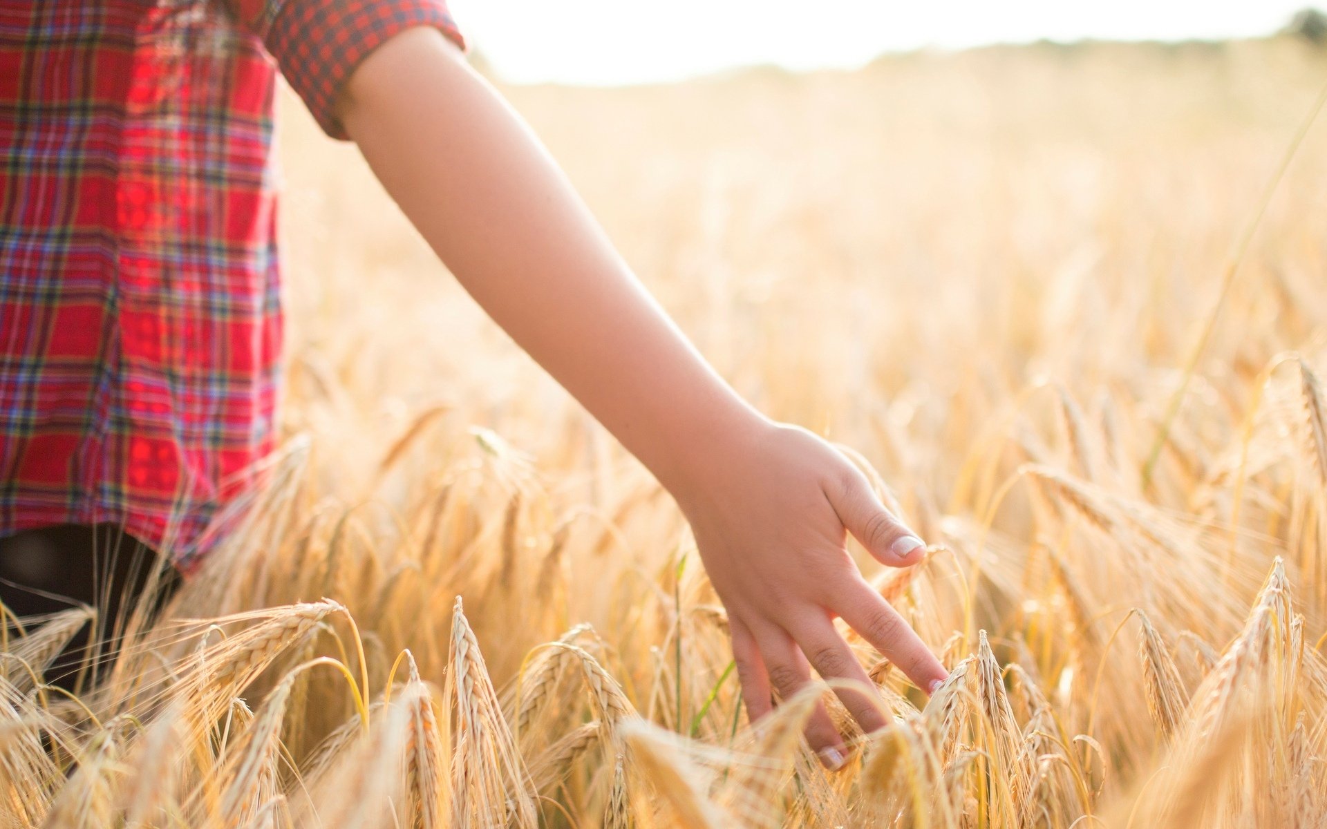 mood children boys hand the field wheat rye ears background wallpaper widescreen full screen hd wallpapers fullscreen