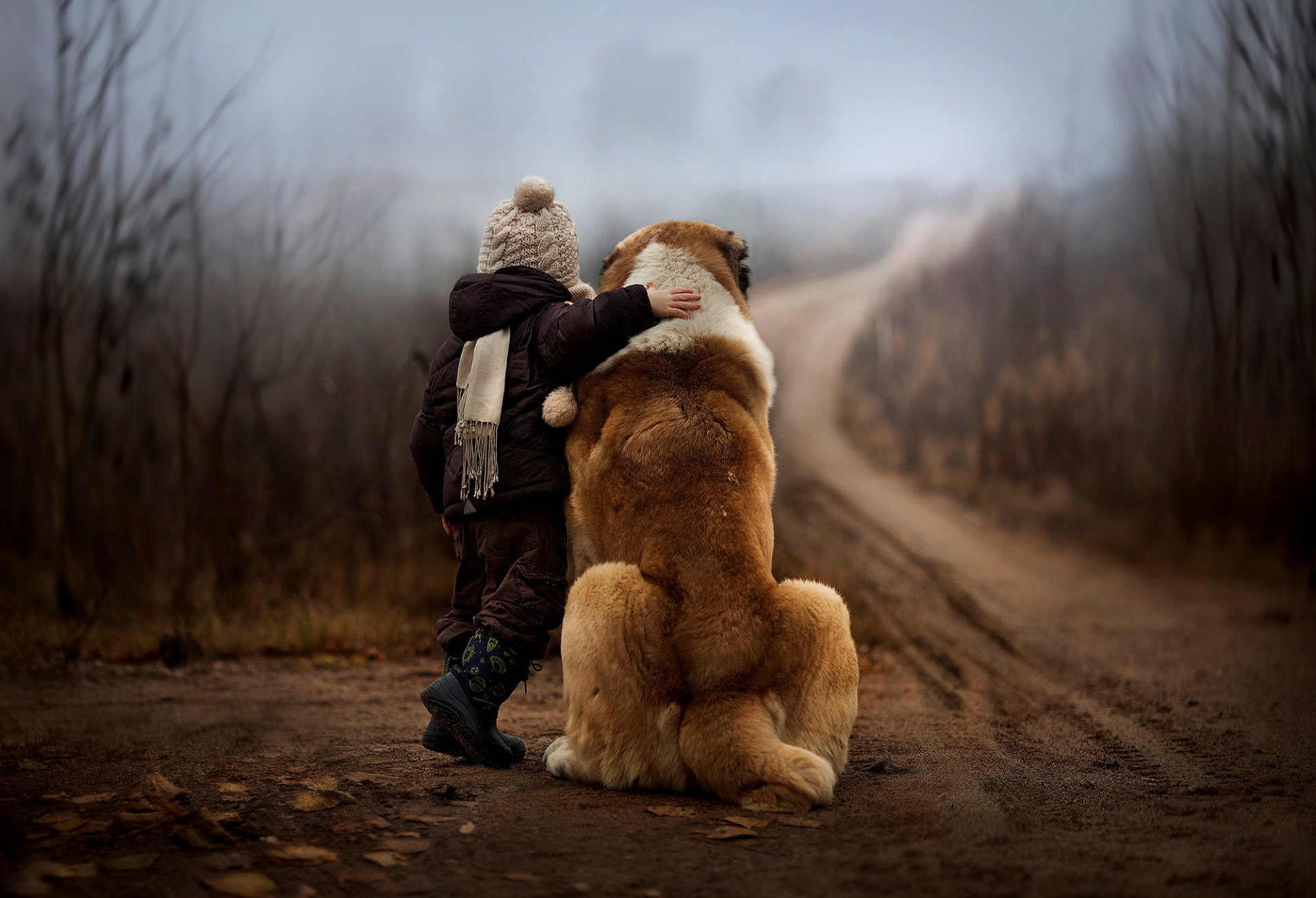 ragazzo bambino cane autunno foresta strada natura nebbia