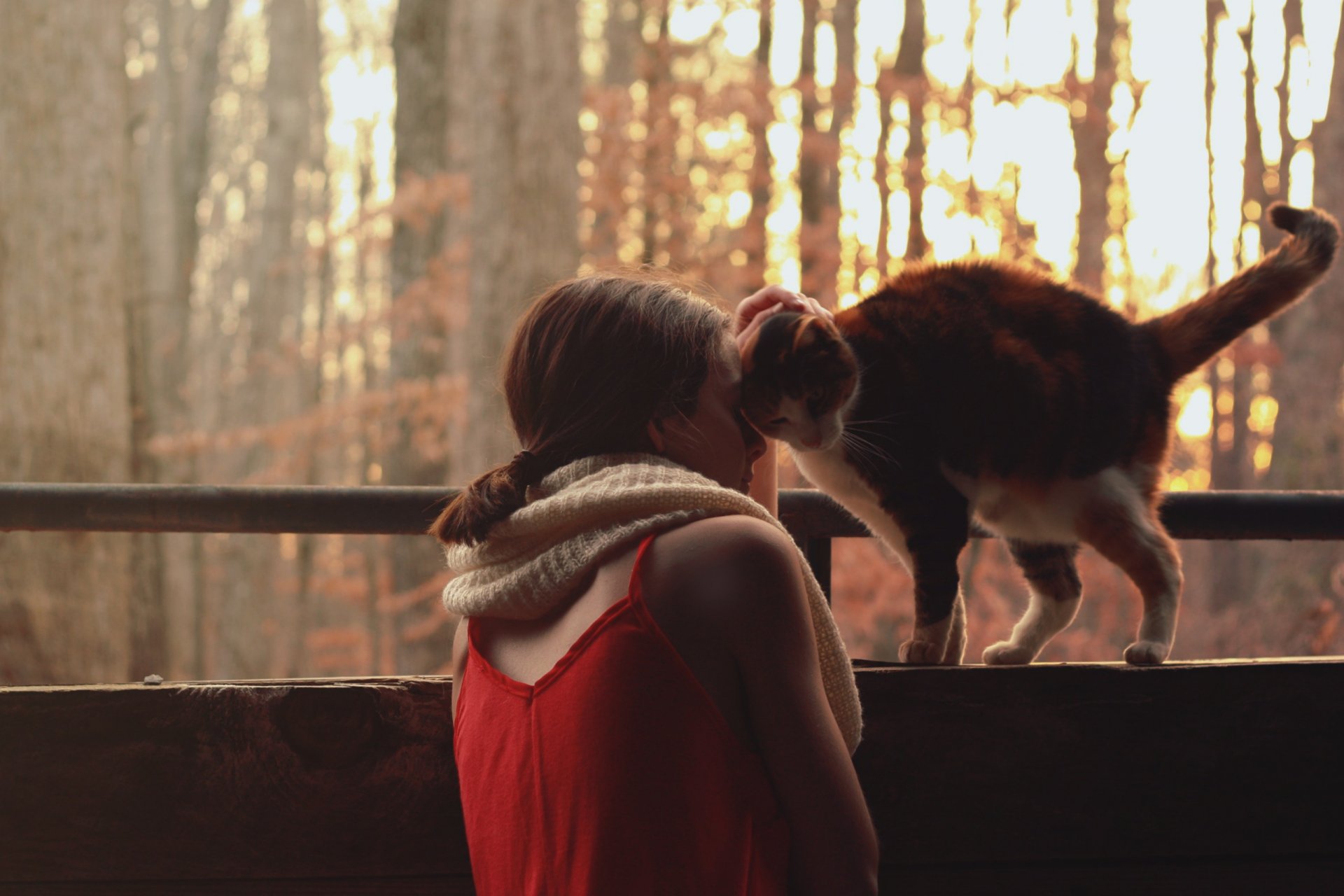 estado de ánimo chica gato bufanda chaqueta rojo naturaleza árboles sol fondo papel pintado