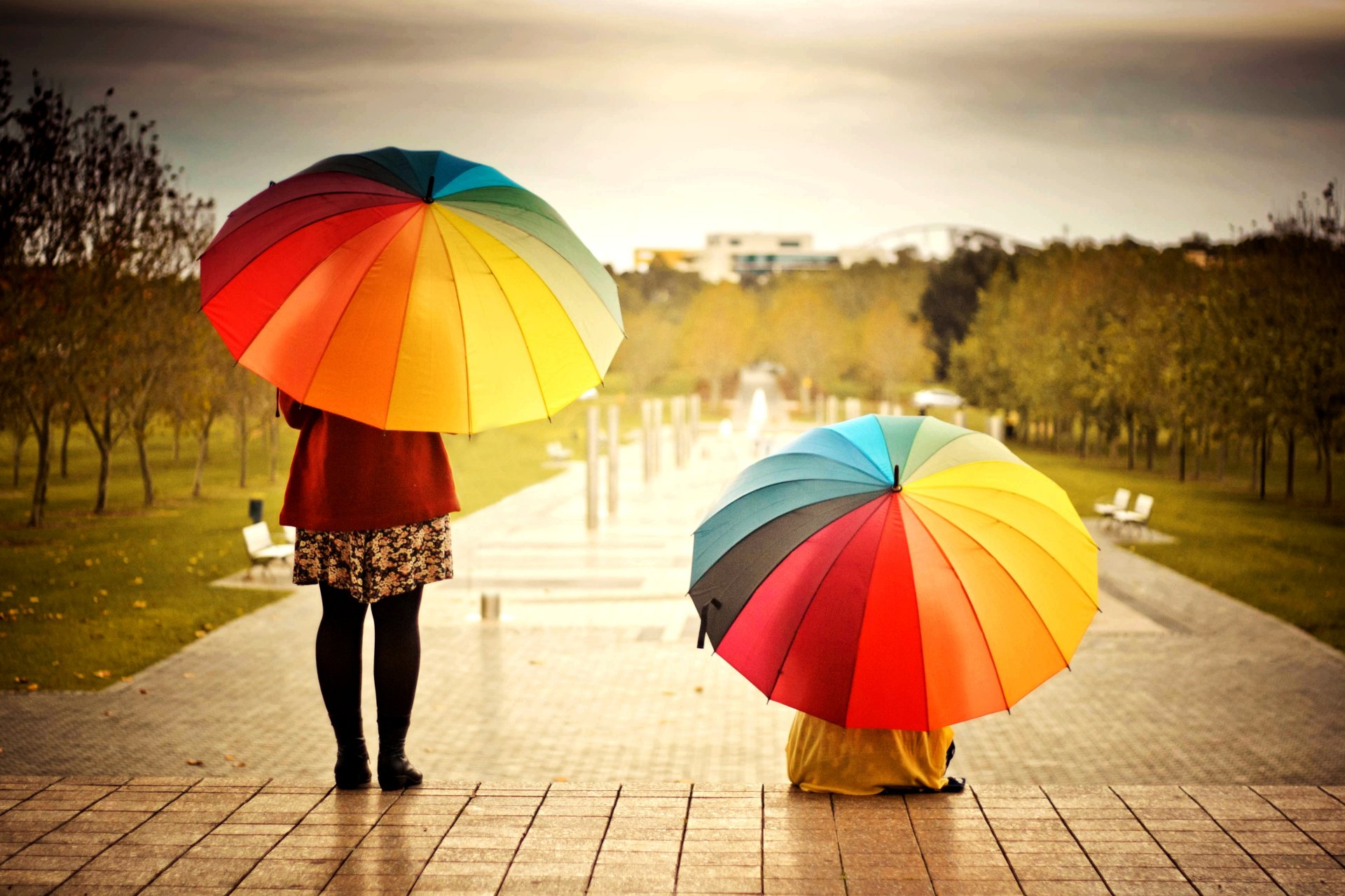 nastrój ludzie dziewczyna dziewczyna kobieta parasol parasole parasole kolorowe jasne pozytywne miasto drzewa tło tapeta panoramiczny pełny ekran panoramiczny panoramiczny