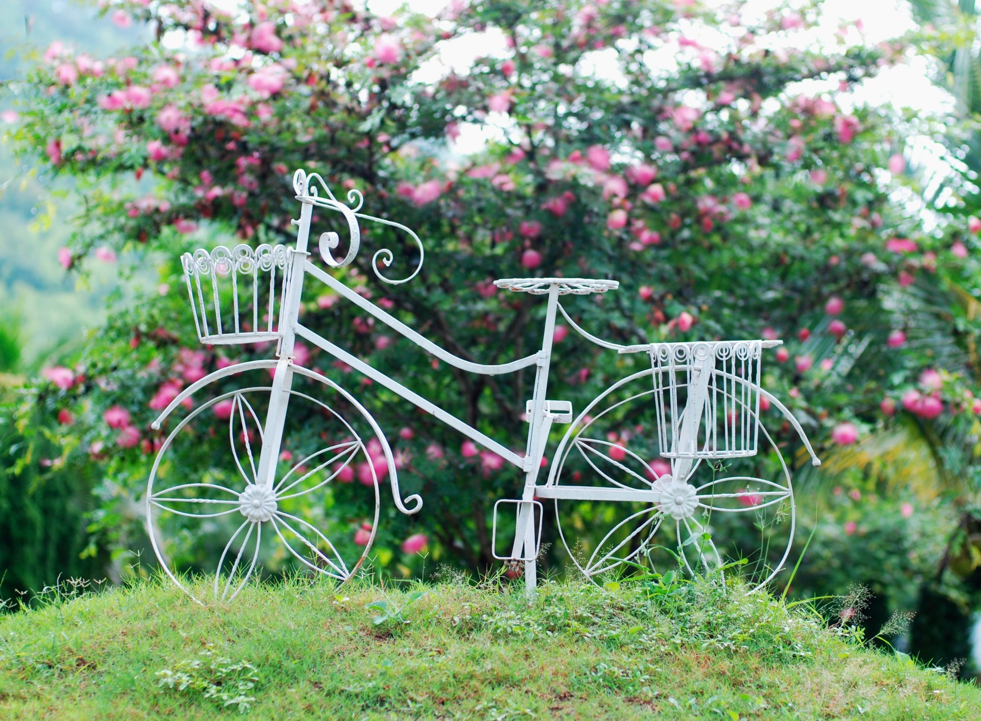 humeur vélo blanc roue panier fleurs fleurs feuilles fond papier peint écran large plein écran écran large écran large