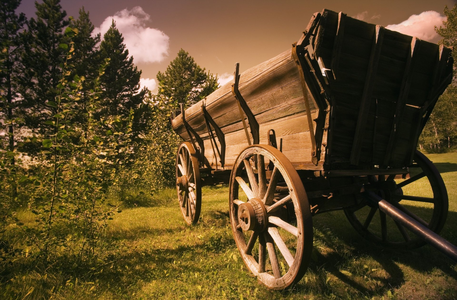 stimmungen wagen natur rad räder blätter blätter hintergrund tapete widescreen vollbild widescreen widescreen