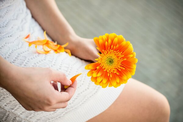 Sie hält eine orangefarbene Blume in ihren Händen und reißt die Blütenblätter ab
