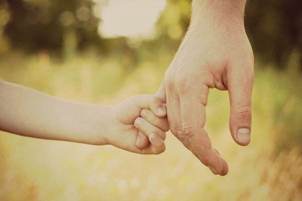 Niños. Adulto. Las manos. Padre