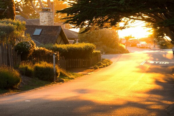 A shadow on the road on a sunny day