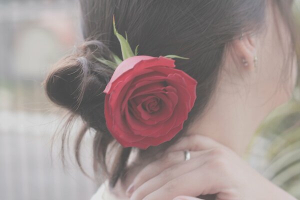 Rose rouge dans la coiffure de la jeune fille