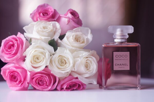 Coco Chanel Parfüm mit einem Strauß weißrosa Rosen