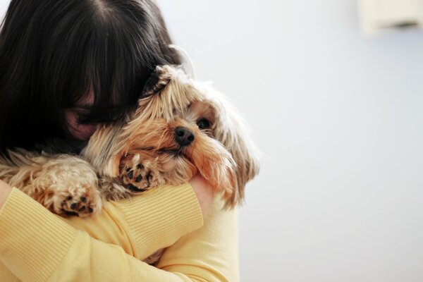 Ragazza bruna che abbraccia il cane