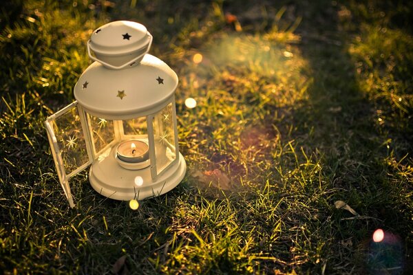 Linterna con velas en el bosque