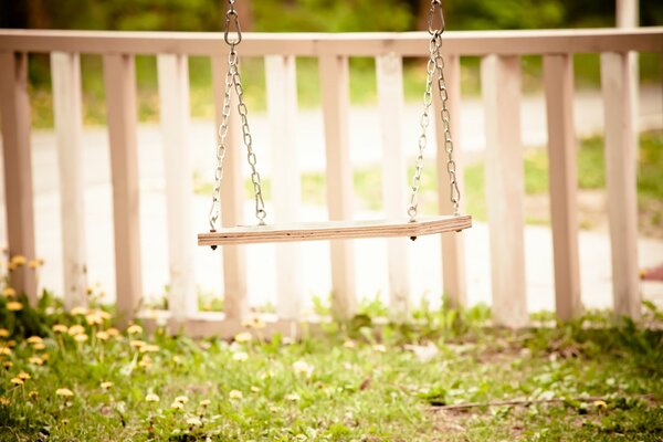 Swing on a chain on a background of green grass