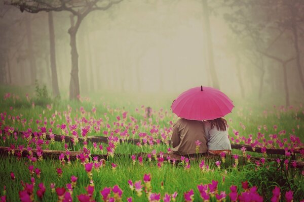 A couple in love under an umbrella in tulips