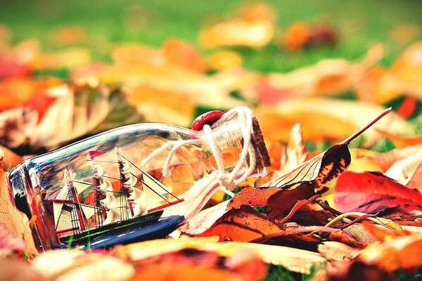 A ship in a bottle on autumn leaves