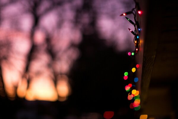 Lumières de Noël sur fond de coucher de soleil