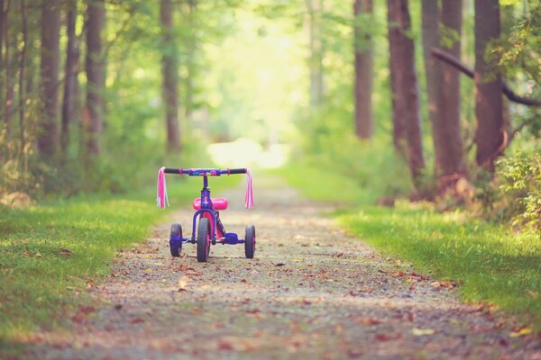 Детский велосипед на тропинке в парке