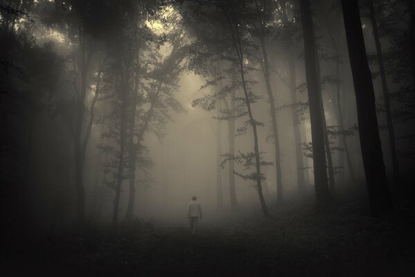 Ein Mann in einem nebligen Wald geht die Straße entlang