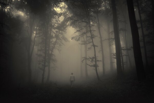 A man in a foggy forest is walking along the road