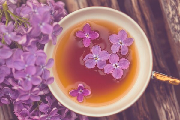 Schöner Hintergrund der Fliederblüten im Tee