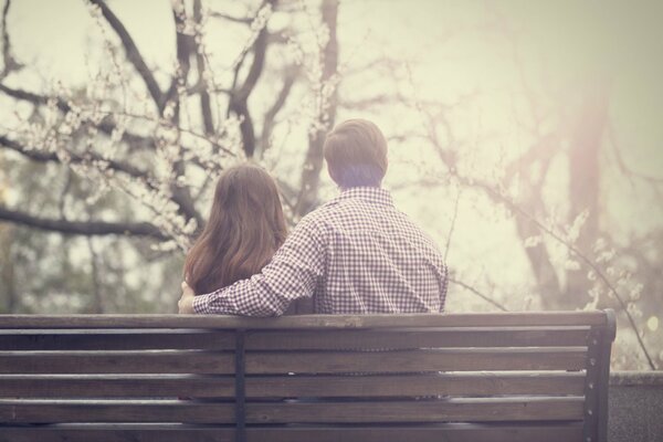 Pareja enamorada en un banco cerca de los árboles