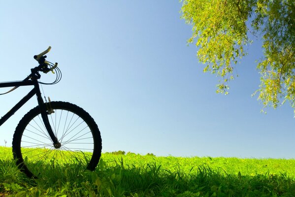 Bicycle on a green meadow against the sky