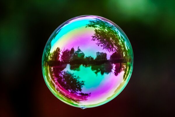Малый мир в мыльном пузыре