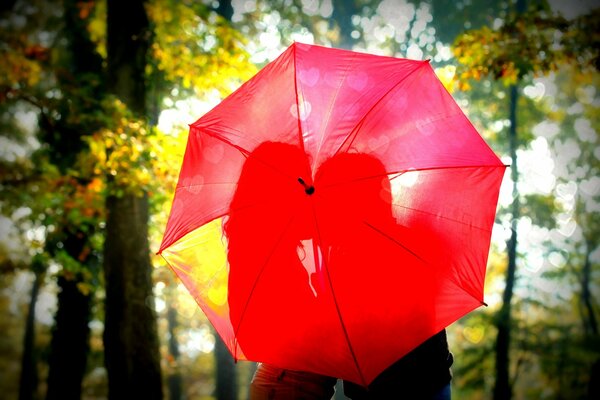 A couple in love in autumn under an umbrella