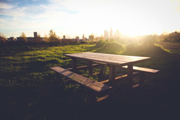 TABLE WITH BENCHES IN NATURE