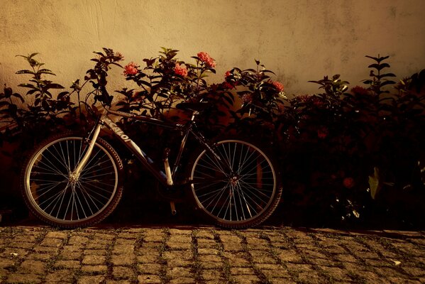 Fahrrad in schönen Hintergrundfarben