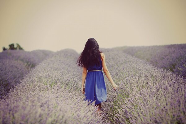 Una chica de azul camina por un campo de flores