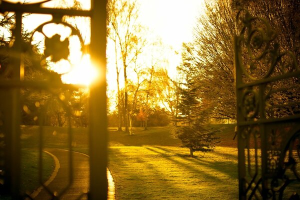 Gate to the garden, beautiful sunset