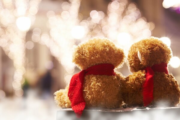 Doux couple sur le banc