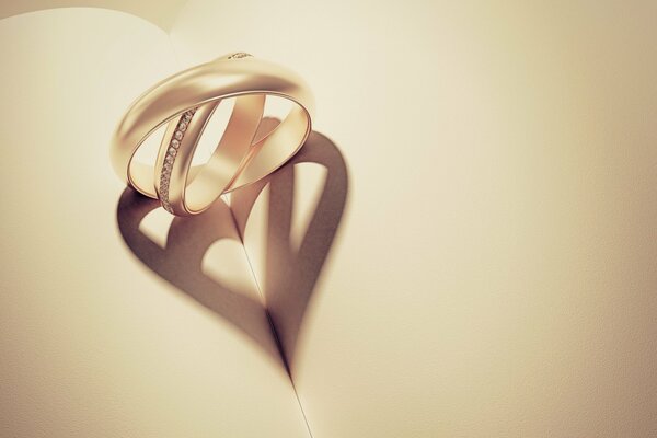 The rings lie on the book and cast a shadow in the form of a heart