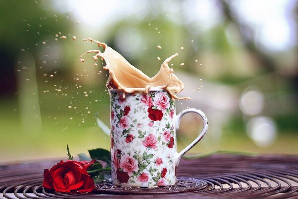 Rote Rose Komposition und Tasse mit Kaffeespritzen