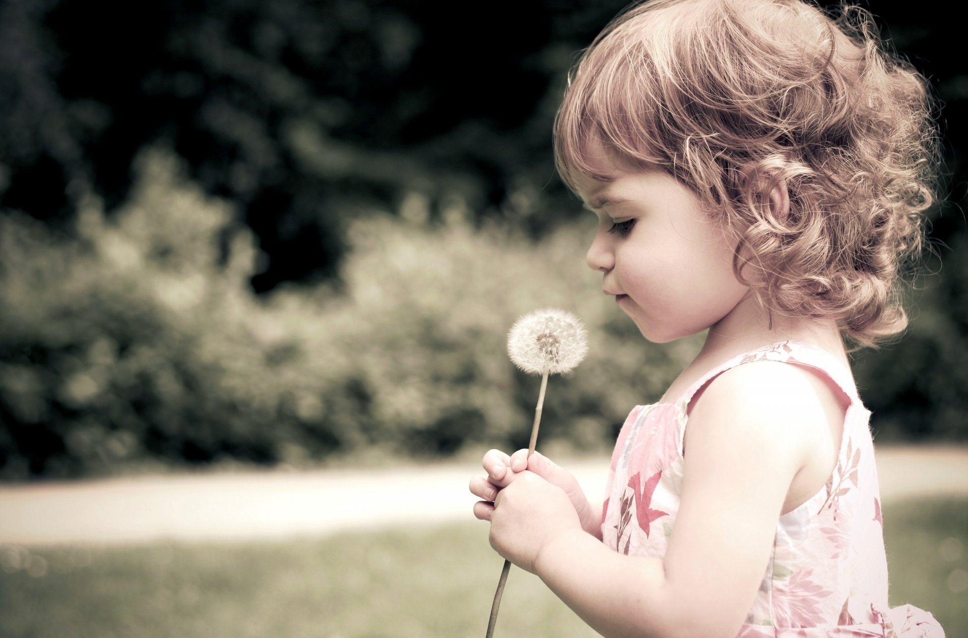 bambino bambino ragazza fiore dente di leone riccioli