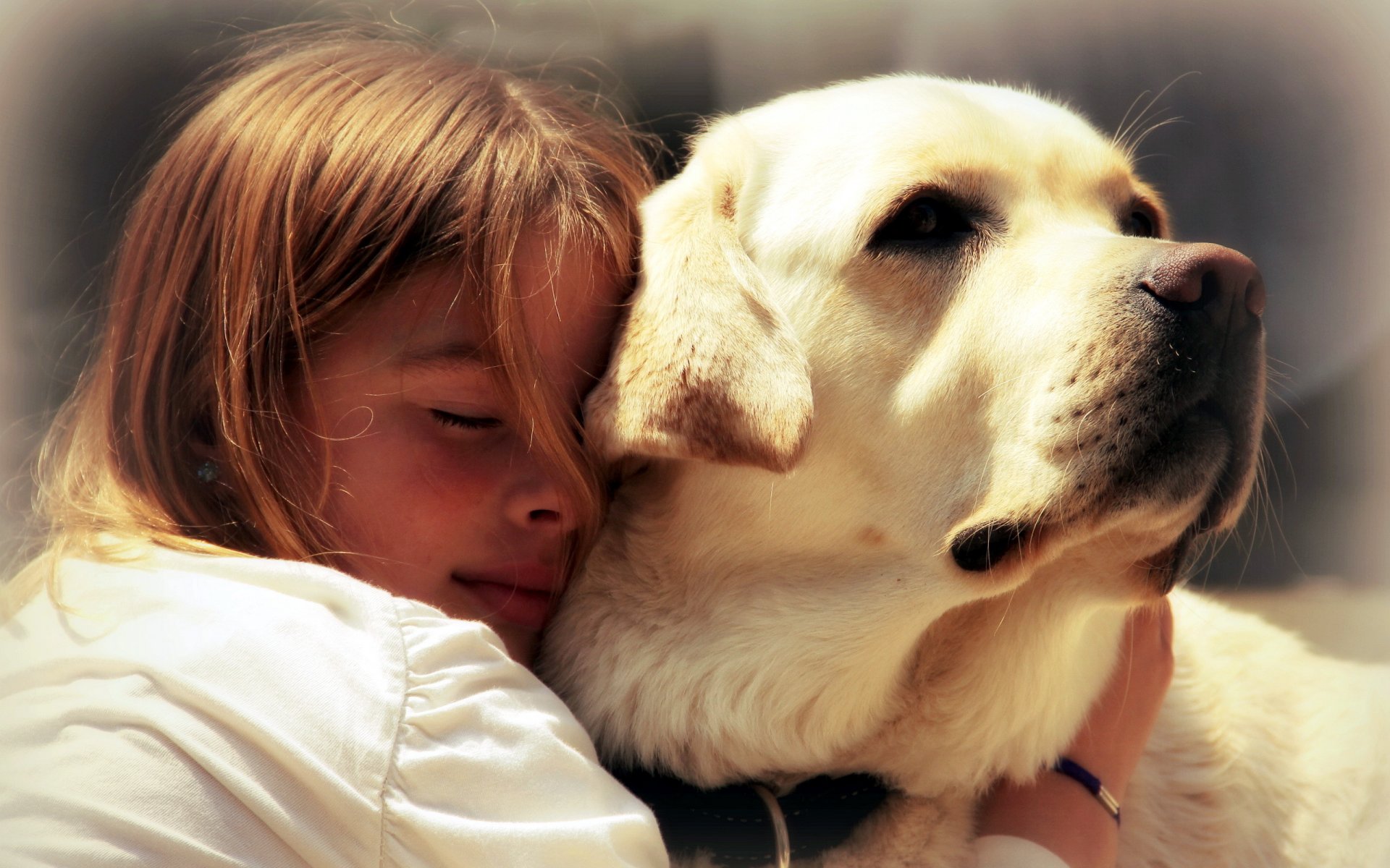 mädchen hund freunde stimmung