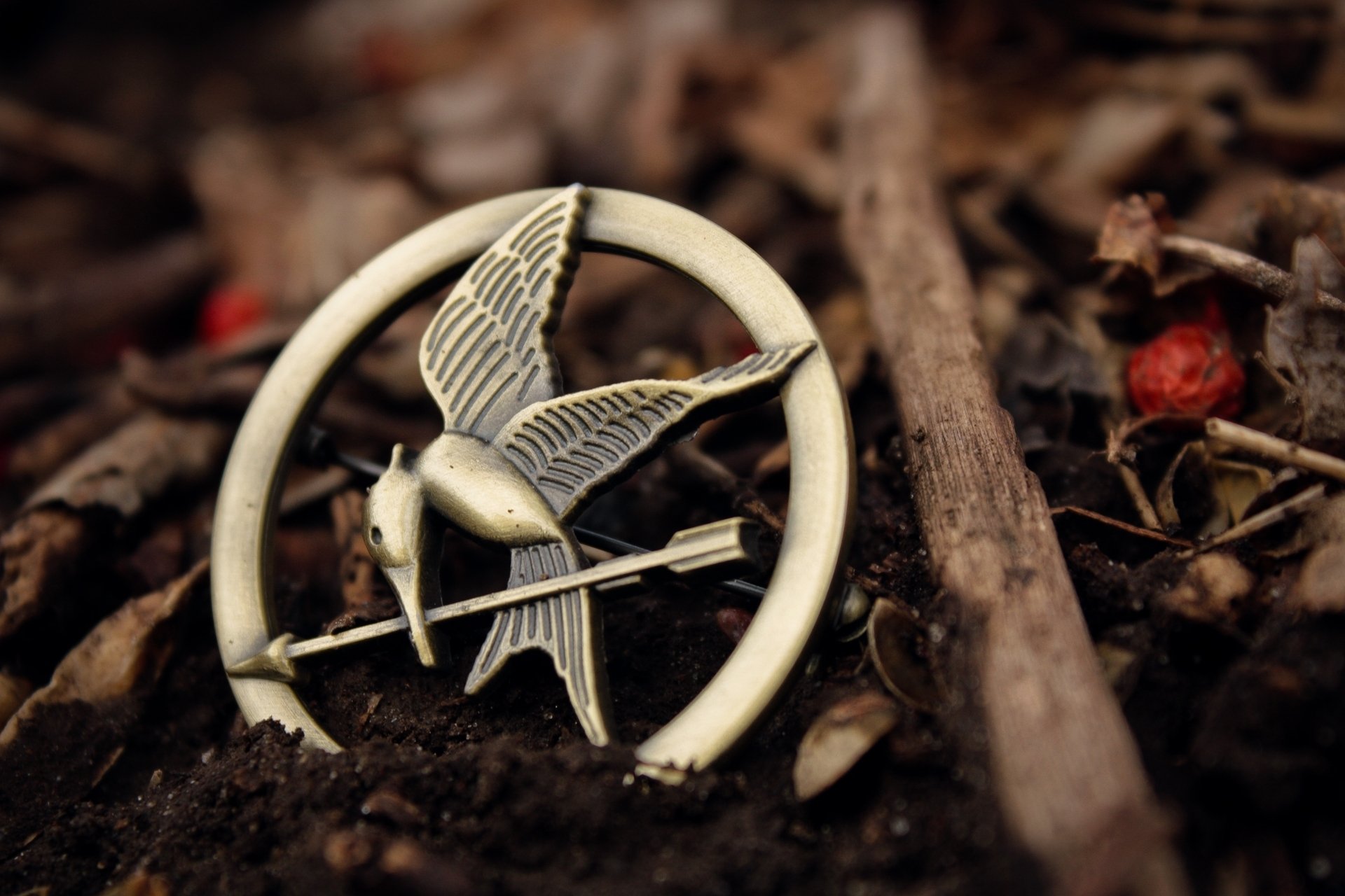 humeur oiseau pendentif décoration nature herbe feuilles fond fond d écran